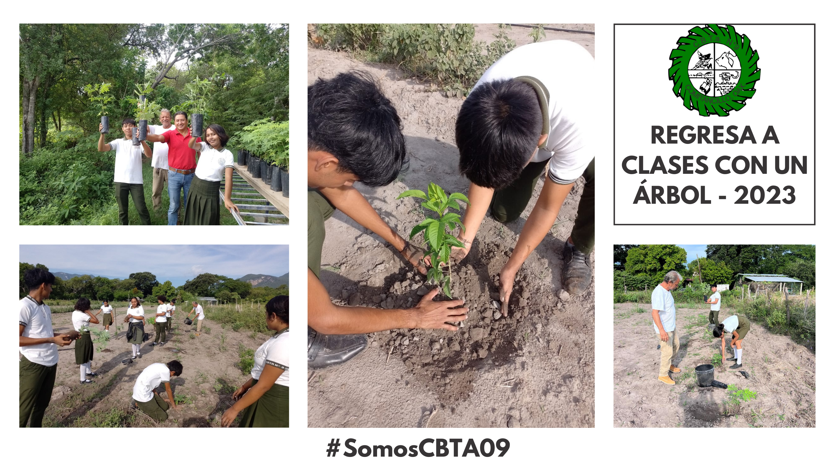 Regresa a clases con un árbol 2023